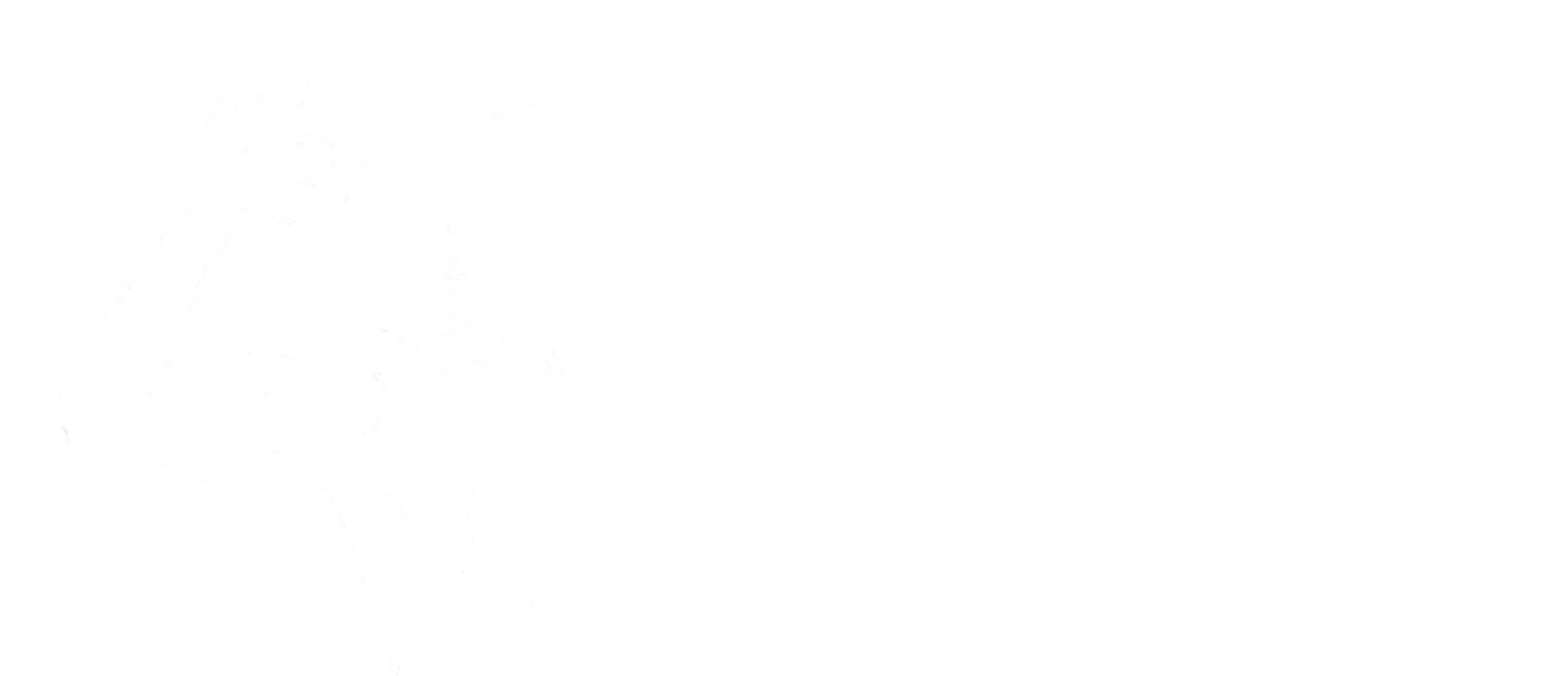 IBPAPA-2